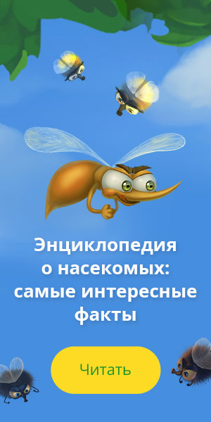 Почему часто ходишь в туалет на раннем сроке Почему часто ходишь в туалет на раннем сроке